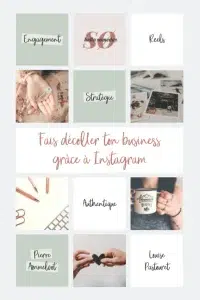 livres de Pierre Ammeloot et Louise Pasteuret du titre : Fais décoller ton business grâce à instragram