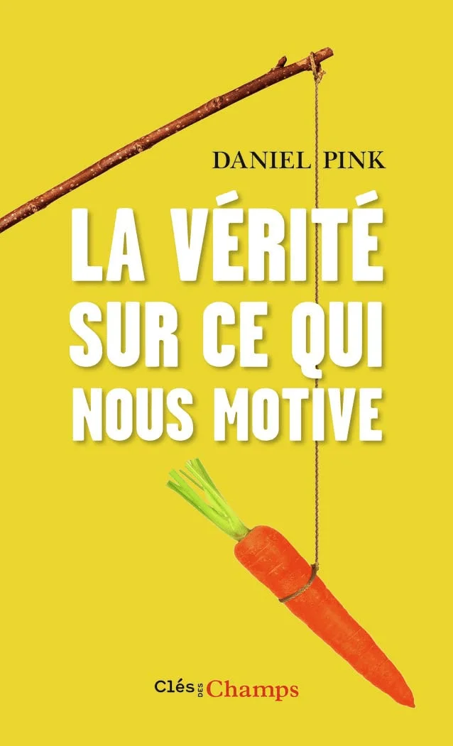 Livres développement personnel de Daniel Pink du titre : La vérité sur ce qui nous motive